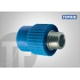 ADAPTADOR PPR AZUL P/ AR COMPRIMIDO 25X3/4 (AC) AD25340A     TOPFUSION